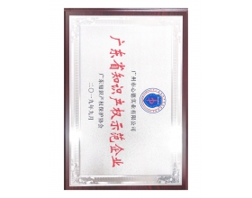 开发区知识产权优势企业